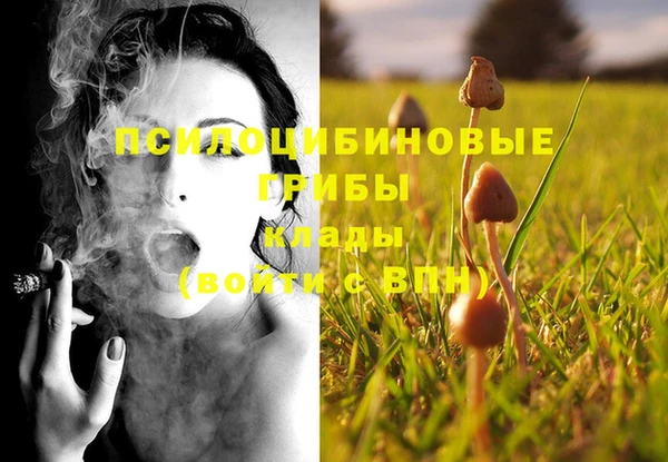 стафф Володарск